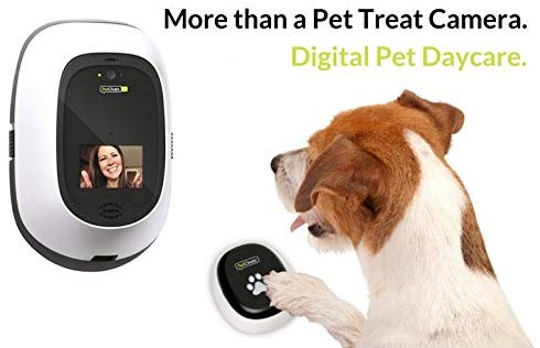 petchatz hd pawcall