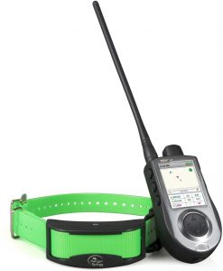sportdog tek gps collar