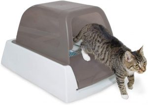 PetSafe Scoop Free Ultra Automatic Self-Cleaning Hooded Cat Litter Box