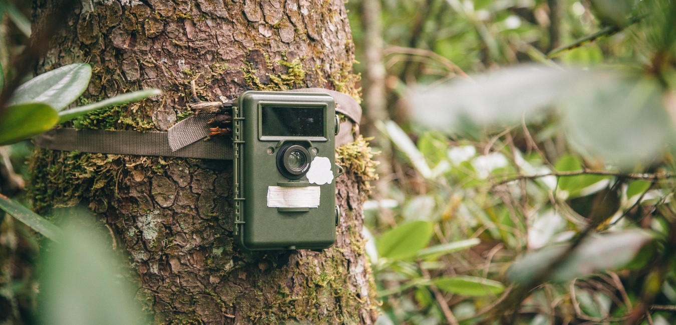 Moultrie A-20 Game Camera 12 MP Infrared LED 50/' flash range